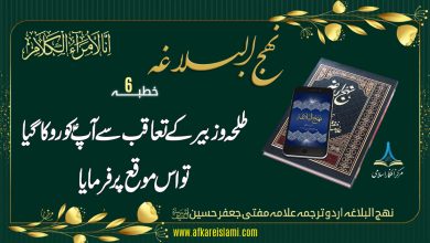 نہج البلاغہ خطبہ نمبر 6: طلحہ و زبیر کے تعاقب سے آپؑ کو روکا گیا تو اس موقع پر فرمایا
