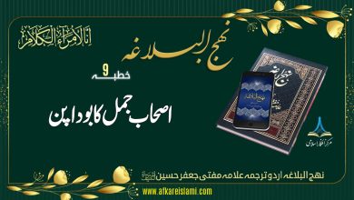 نہج البلاغہ خطبہ نمبر 9: اصحاب جمل کا بودا پن