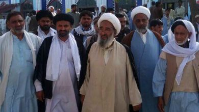 شیخ محسن علی نجفی