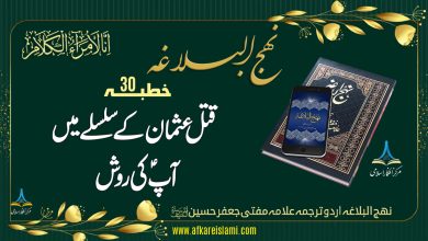 نہج البلاغہ خطبہ 30: قتل عثمان کے سلسلے میں آپؑ کی روش