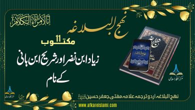 نہج البلاغہ مکتوب 11: زیاد ابن نضر اور شریح ابن ہانی کے نام