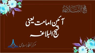 آئینہ امامت یعنی نہج البلاغہ