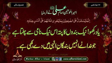 نیک نامی