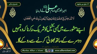 بخیل سے مشورہ