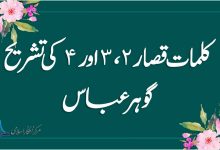 نہج البلاغہ کلمات قصار ۲، ۳ اور ۴ کی تشریح