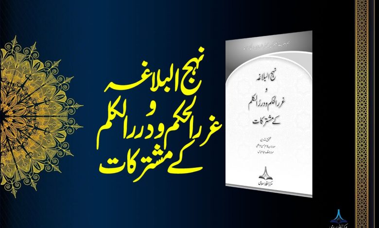 نہج البلاغہ و غررالحکم و دررالکلم کے مشترکات