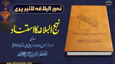 نہج البلاغہ کا استناد