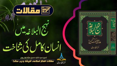 نہج البلاغہ میں انسان کامل کی شناخت