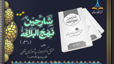 شارحین نہج البلاغہ برصغیر