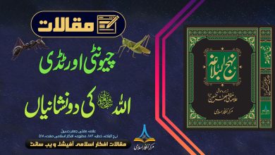 چیونٹی اور ٹڈی اللہ کی دو نشانیاں