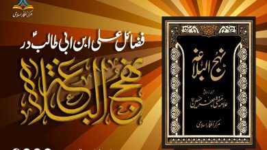 فضائل علیؑ ابن ابی طالبؑ در نہج البلاغہ