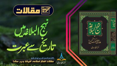 نہج البلاغہ میں تاریخ سے عبرت